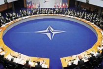 НАТО организует ежегодные учения по руководству кризисом и кибербезопасности