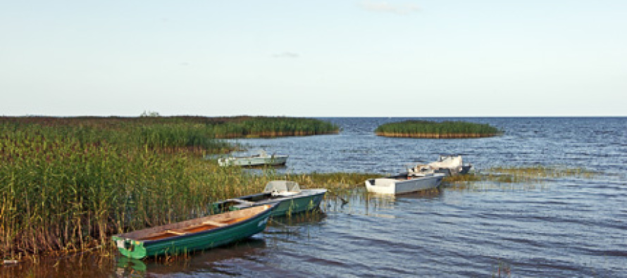 Водолазная практика на Чудском озере