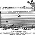 bactec-3382.jpg