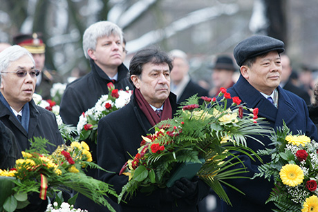 Цветы на холодном граните