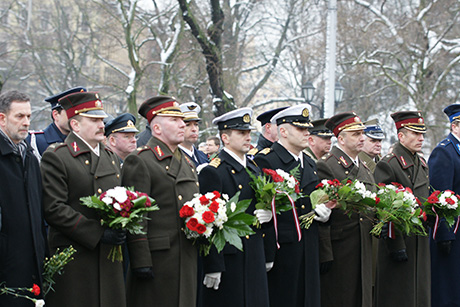 Цветы на холодном граните