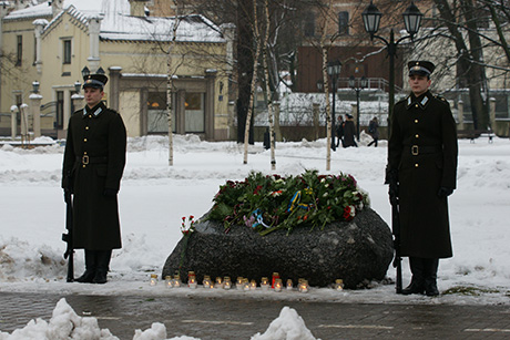 Цветы на холодном граните