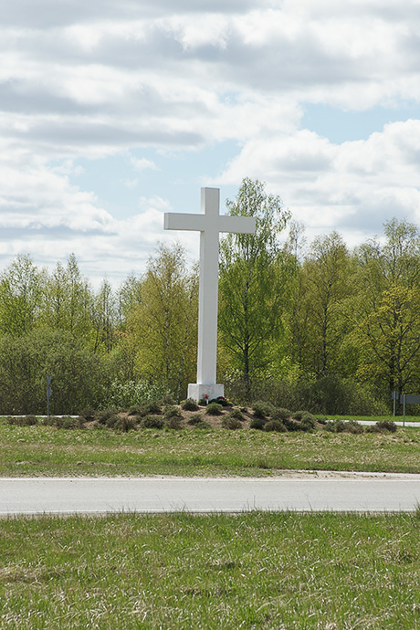 Латгальский сокол