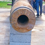 cerel95-0050.jpg