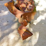 cerel95-0058.jpg