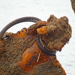 daugava_wreck-DSC01299.jpg