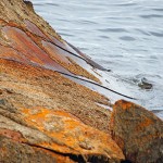 daugava_wreck-DSC01307.jpg