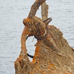 daugava_wreck-DSC01308.jpg