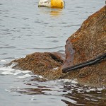 daugava_wreck-DSC01313.jpg