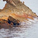 daugava_wreck-DSC01319.jpg