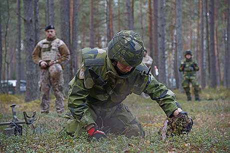 Учения «Детонатор 2013»