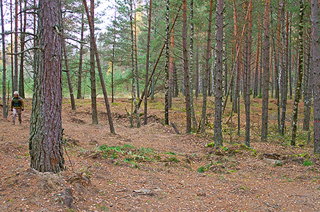 Цекульский тупик