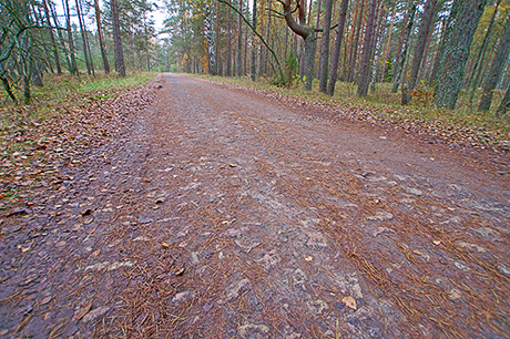 Цекульский тупик