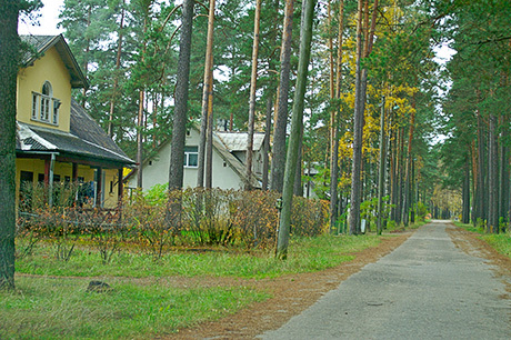 Цекульский тупик