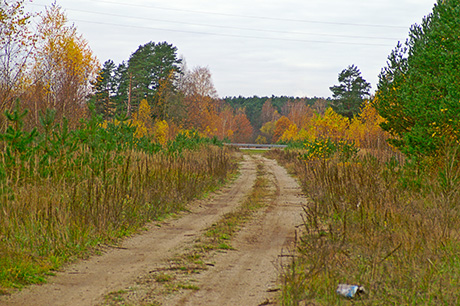 Цекульский тупик