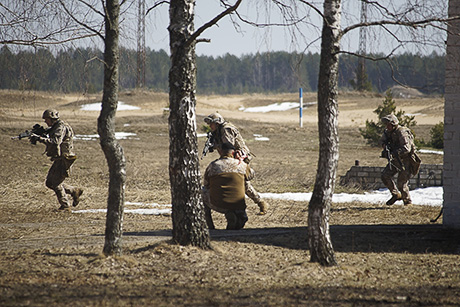 Боевая группа Евросоюза