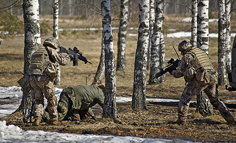 Боевая группа Евросоюза