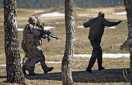 Боевая группа Евросоюза