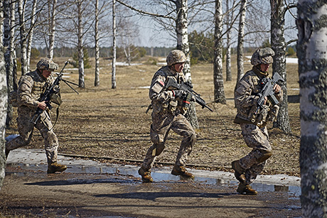 Боевая группа Евросоюза