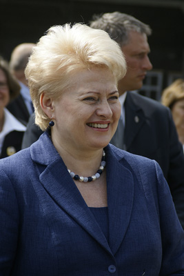 «Янтарная надежда 2011» в Литве