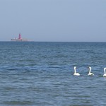 kolka-2423.jpg