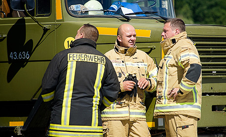 «Геркулесы» в Лиелварде