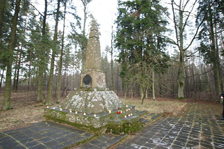 Рождественским боям 95 лет