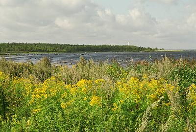 Моондзундские острова