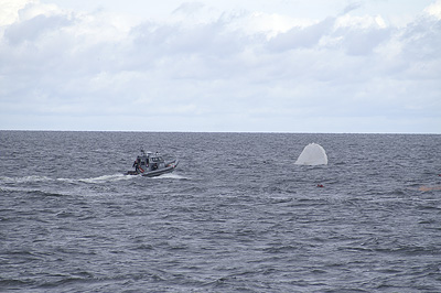 Морские пограничники Латвии