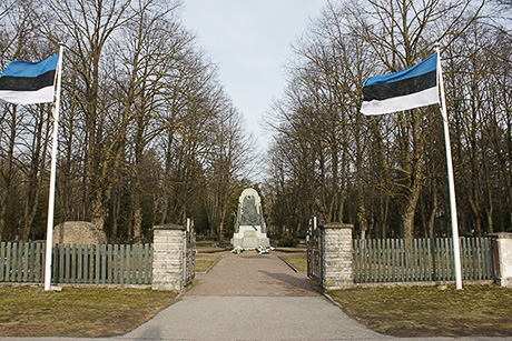 Военный парад в Пярну