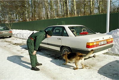 Профессия пограничник