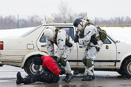 На земле, в небесах и на море