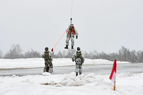 На земле, в небесах и на море