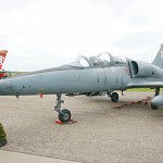 steel_wing_2012-DSC06590.jpg