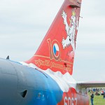 steel_wing_2012-DSC06618.jpg