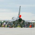 steel_wing_2012-DSC06895.jpg