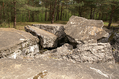 Рижские десятидюймовки