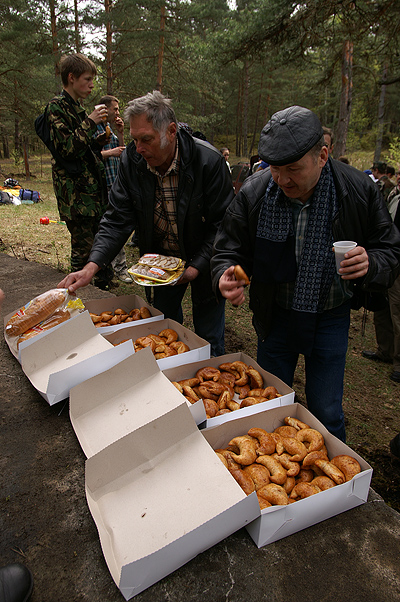 Рижские десятидюймовки