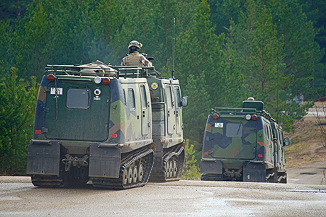 Аист над полигоном