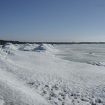 tallink-4250.jpg