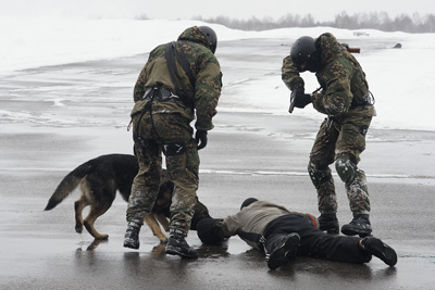 Пограничная эскадрилья