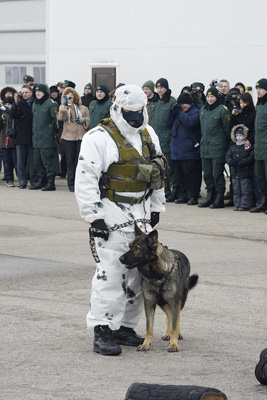 Пограничная эскадрилья