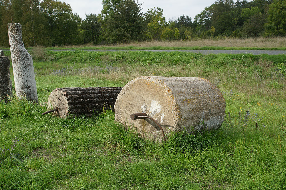 Конференция на Сырве — 2014