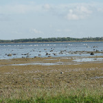 SONY DSC