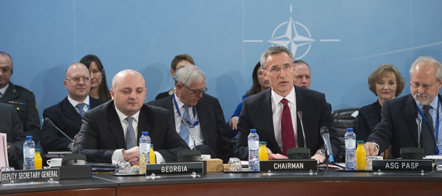 НАТО-Грузия — перспективы сотрудничества