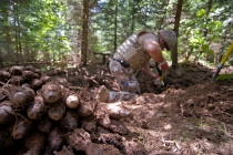 Нейтрализация невзорвавшихся боеприпасов