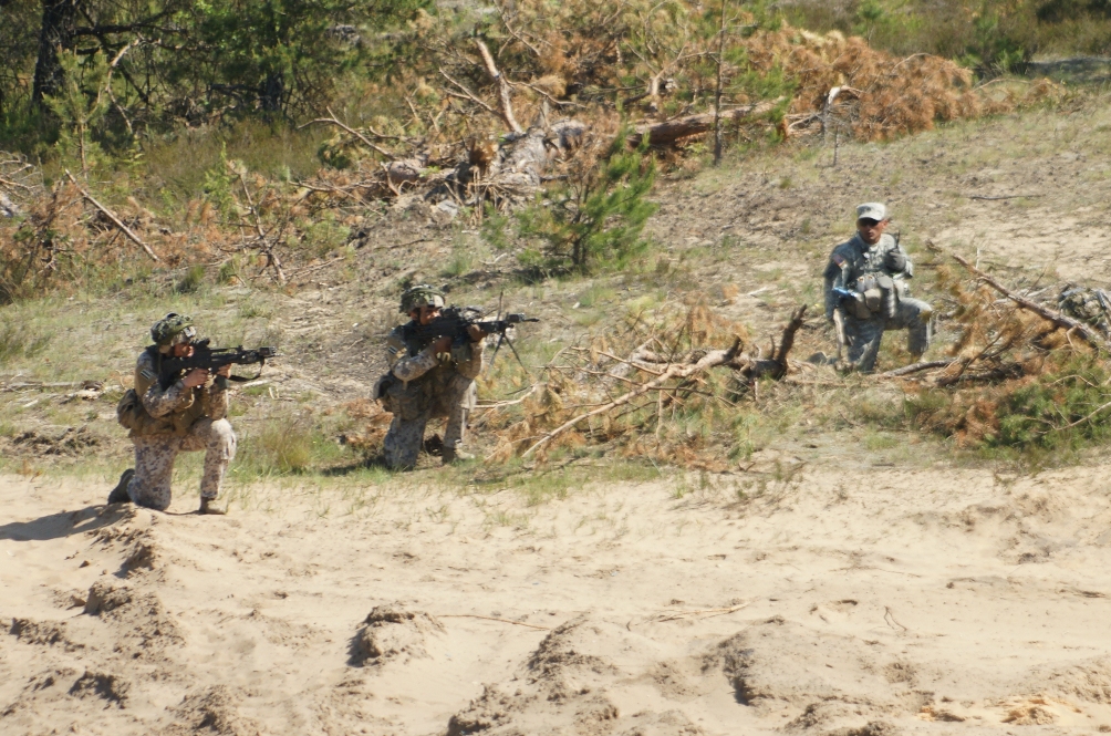 День прессы на Saber Strike 2015. Бой на Французском кургане