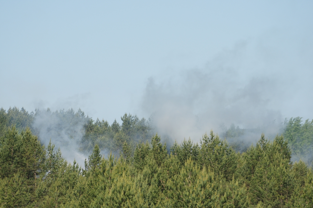 День прессы на Saber Strike 2015. Бой на Французском кургане