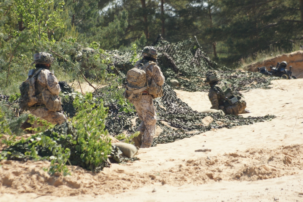 День прессы на Saber Strike 2015. Бой на Французском кургане
