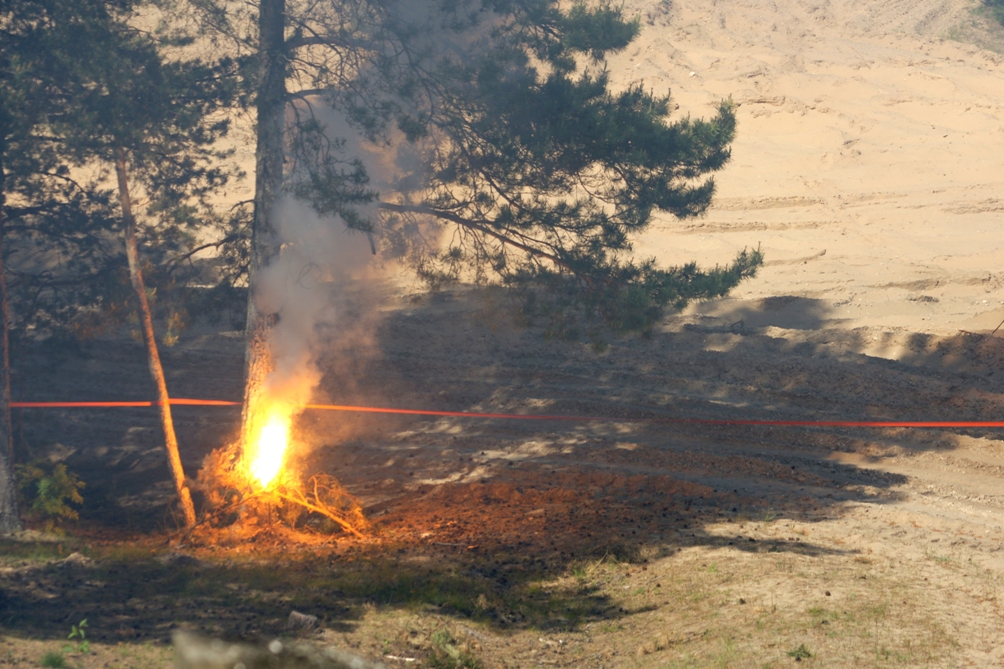 День прессы на Saber Strike 2015. Самолёты